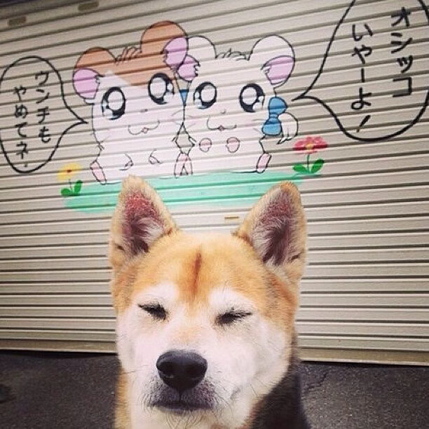 奥纳纳筑起叹息之墙，阿根廷利刃出鞘斩落黄色潜水艇