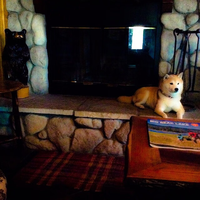 开云体育平台APP-铁壁孔德，当瑞典尖刀遇上无解之墙