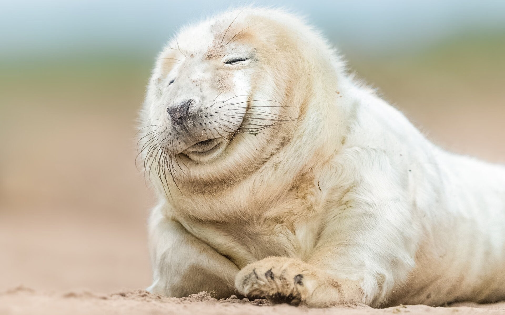 开云体育登录-本泽马炸裂之夜，一己之力撕裂防线，里昂血战尼斯挺进欧冠区