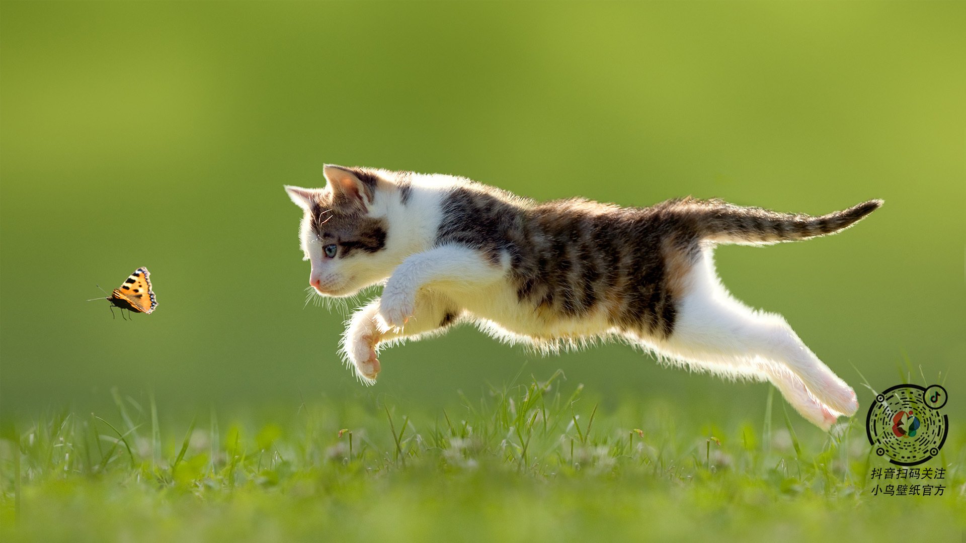 开云平台-草根逆袭与天才觉醒，足球世界的两级神话