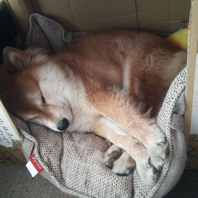 菲尼克斯的节拍器,总决赛夜布克如何掌控全场心跳