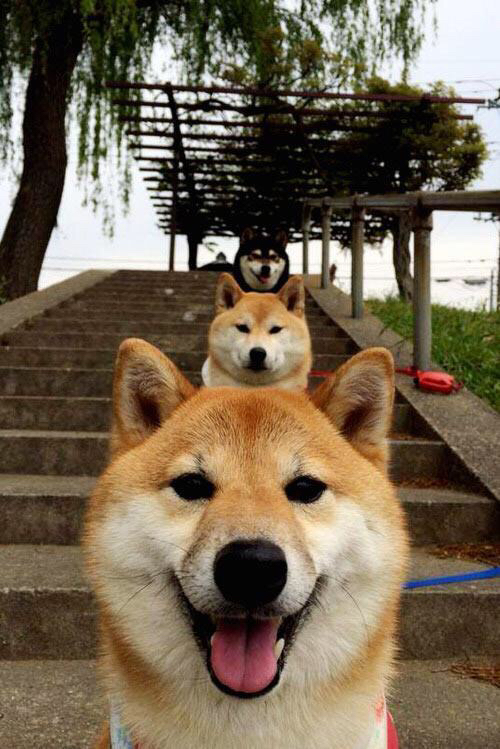 格纳布里化身关键先生,新西兰强势碾压沙特