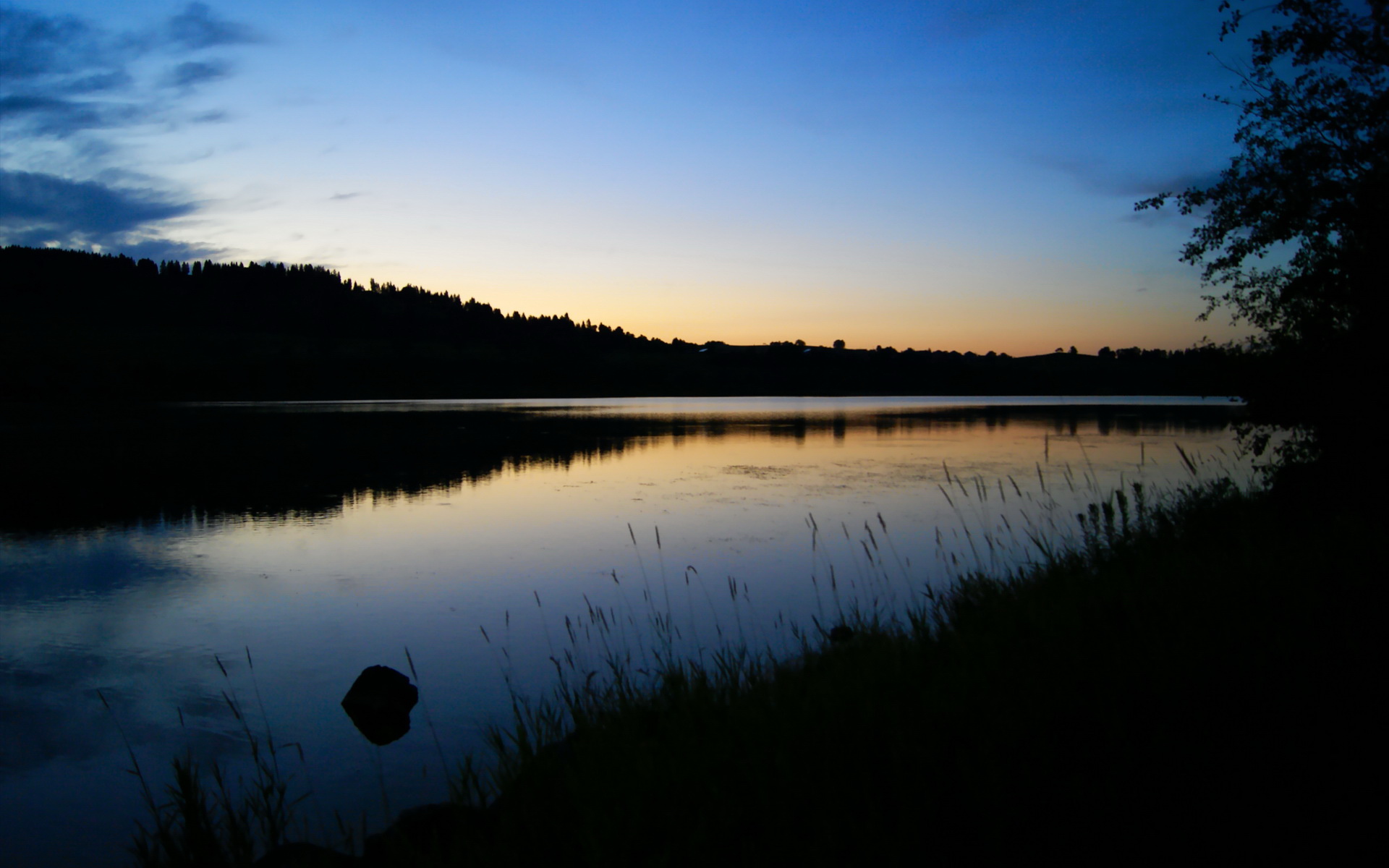 领袖之力，字母哥的冠军气场与国王的逆袭启示