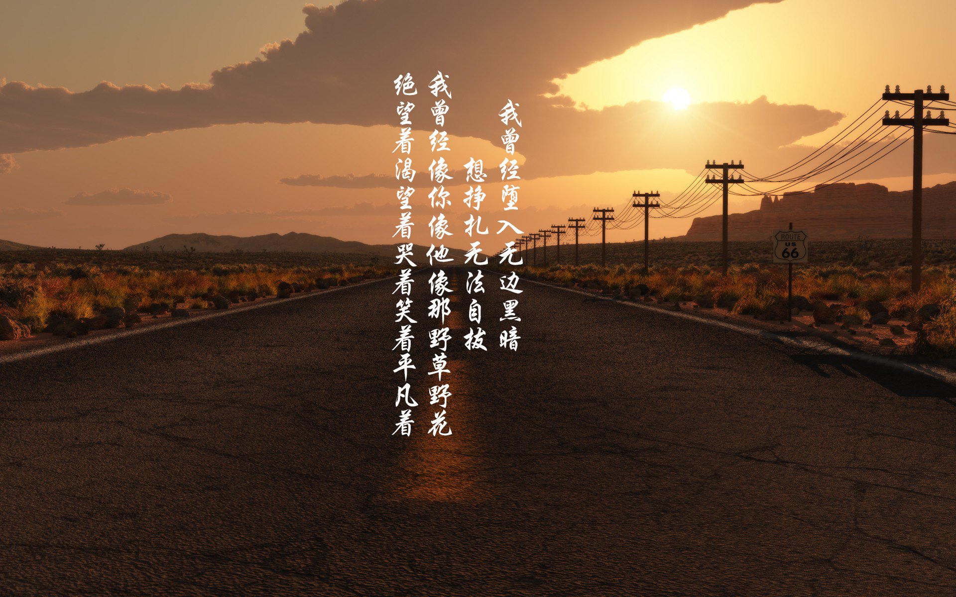 布克教科书级表现闪耀全场，森林狼铁壁防守封锁篮网