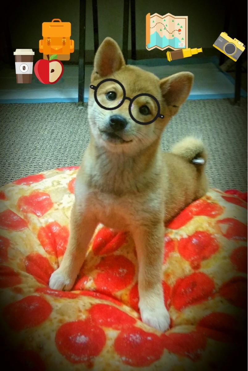 莱比锡红牛闪电战速胜荷兰豪门，托尼一锤定音成关键先生