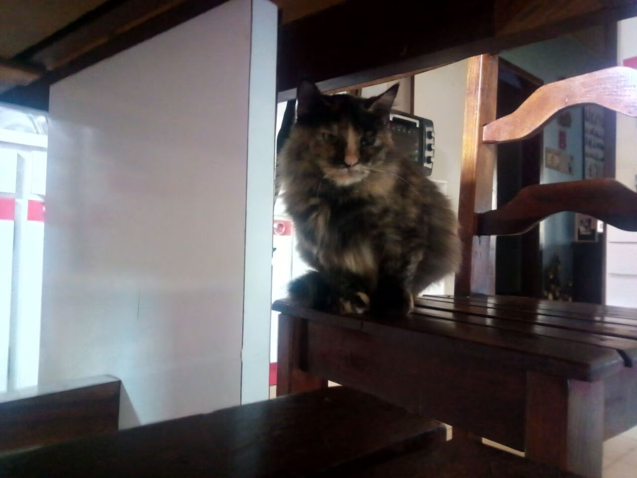 马赛绝地反击！苏亚雷斯末节双响导演逆转好戏