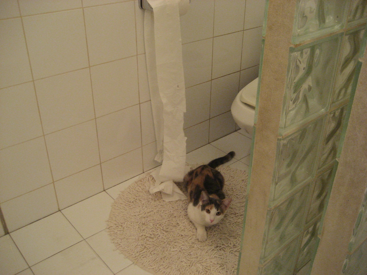 开云体育-狼群再袭，王者初醒，文班亚马于重压之下铸就破晓一击