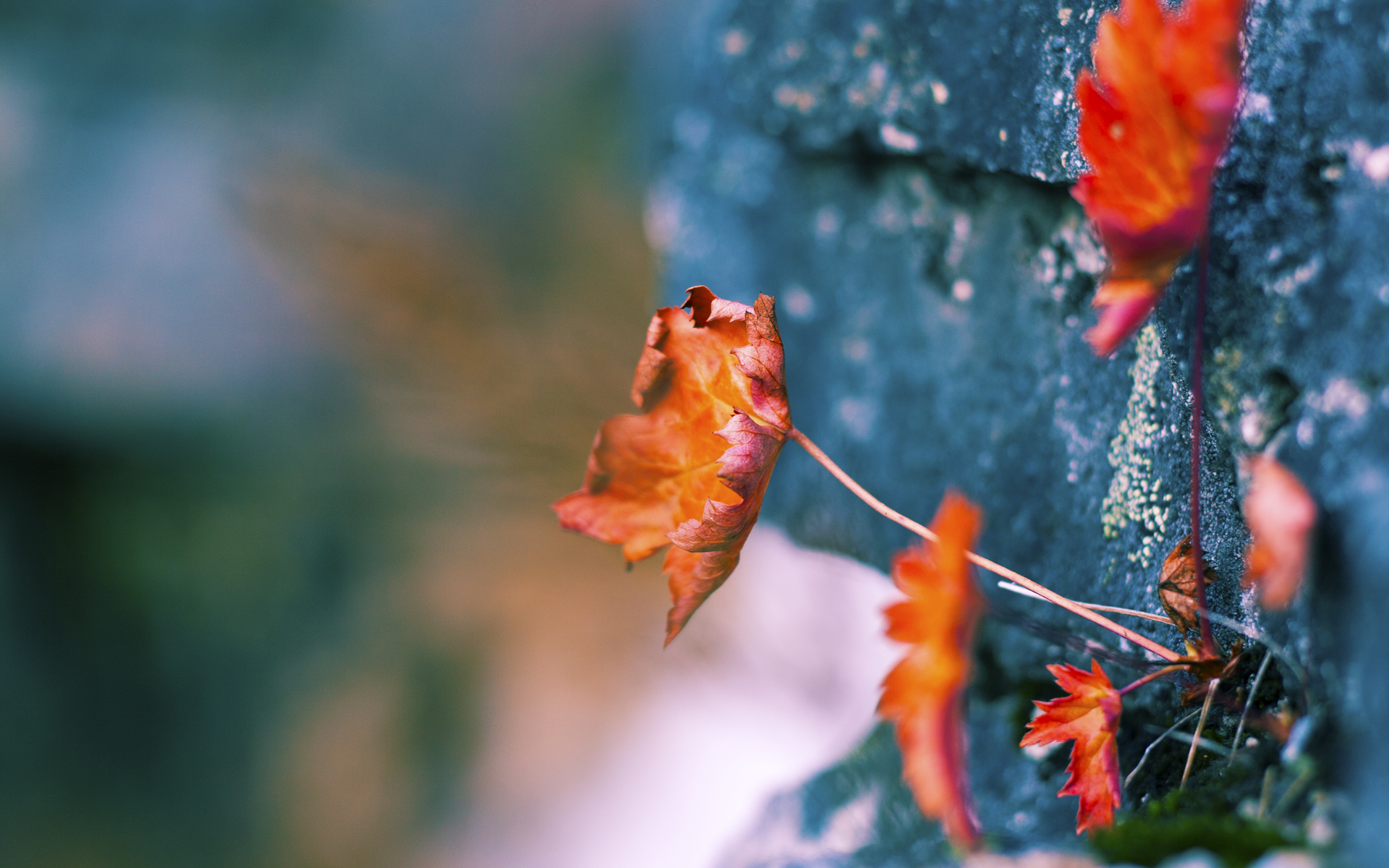 末节风暴，马克西惊天逆转点燃德甲争冠夜